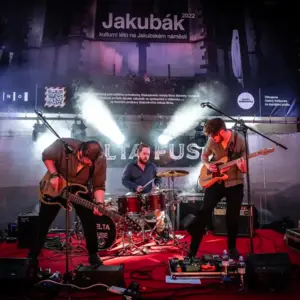 Delta Fuse - Stonebridge Wasaga Beach Blues