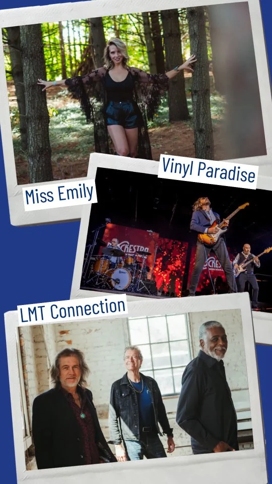Just some more of the great bands that will be appearing at this year's festival. Save the date and get your tickets today! 
#jameslegereband
#lmtconnection #joemurphyandthewaterstreetbluesband #the last Waltz
#townofwasagabeach