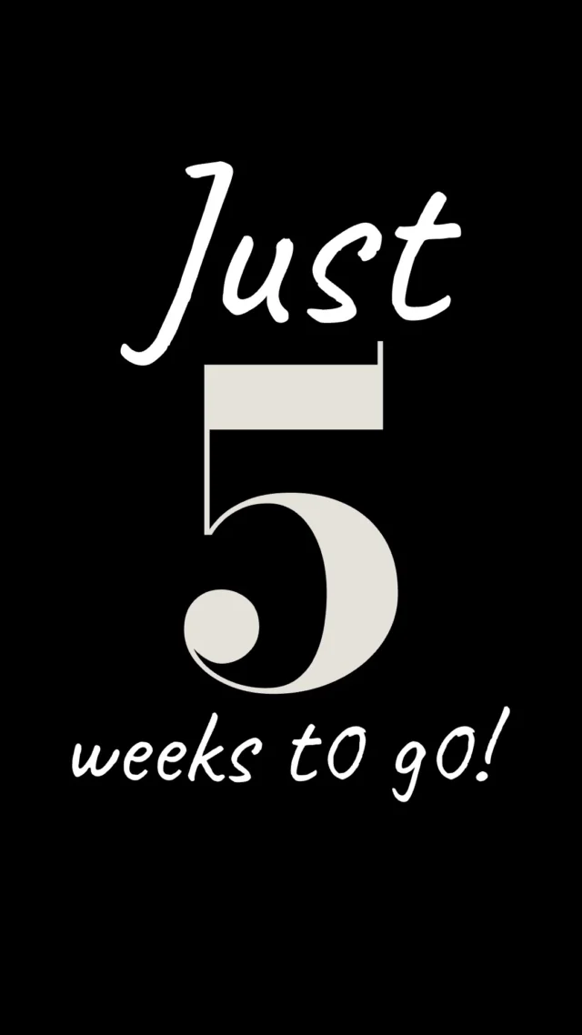 5 WEEKS TO GO! Get your tickets and we'll see you there. Advance ticket pricing ends August 31st.😎🌊

#bringhomethewin #LiUNA183 #experiencesimcoecounty #townofwasagabeach #bluesinthebeach 
Bigmotorgasoline Pearl: A Janis Joplin Experience @eyesofvioletofficial Mudmen Celtic Rock Band  waterstreet blues band